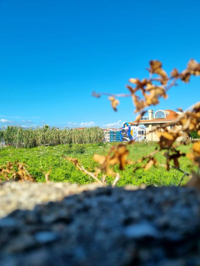 ヴィーゴ Casa Alcabreヴィラ エクステリア 写真